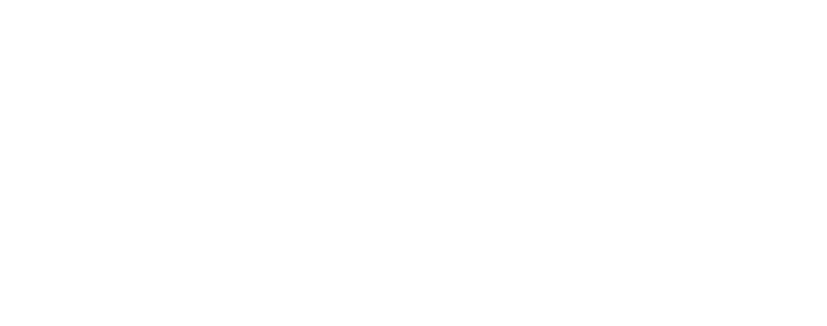 VTL Logo